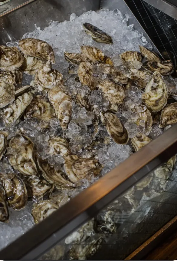 Fresh oysters on ice at The Beer Garage, one of the places for oysters in the West Village